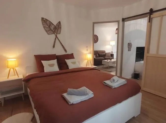 T2 Balneotherapie, Jardin, Parking, Tram, Boulodrome Blagnac