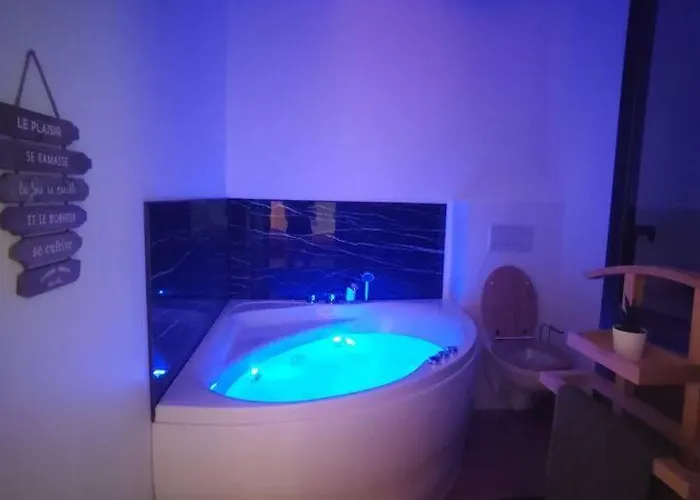 Apartament T2 Balneotherapie, Jardin, Parking, Tram, Boulodrome