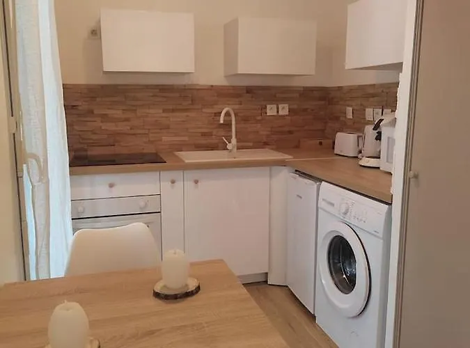 Apartament T2 Balneotherapie, Jardin, Parking, Tram, Boulodrome